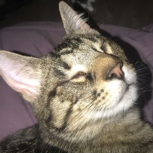 Meet your Posher, Ray